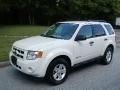 2010 Ford Escape Hybrid