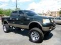 2006 Ford F-150